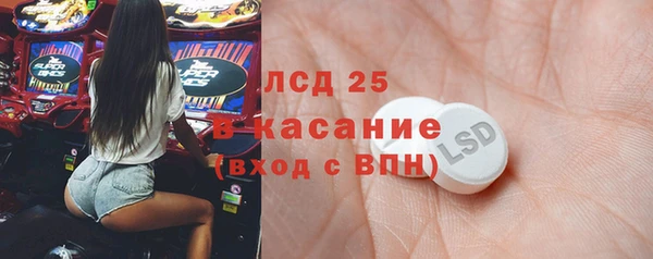 прущие грибы Елизово