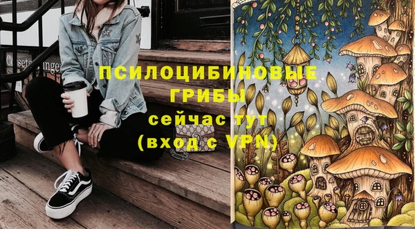 амф Заволжье