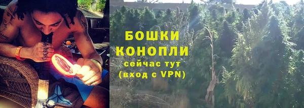 амф Заволжье