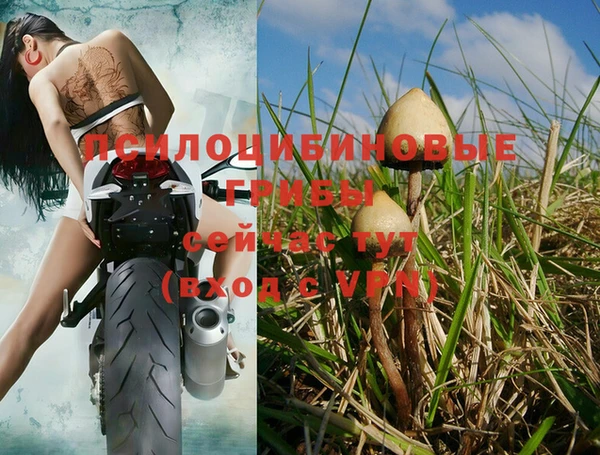 каннабис Заводоуковск