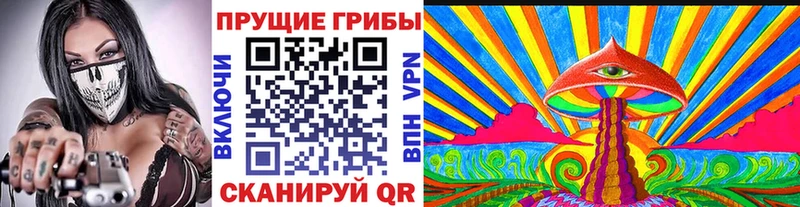 Псилоцибиновые грибы Psilocybine cubensis  ОМГ ОМГ ТОР  Омутнинск 